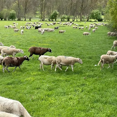 Confortable Labellise Saint Lary דירה Vignec